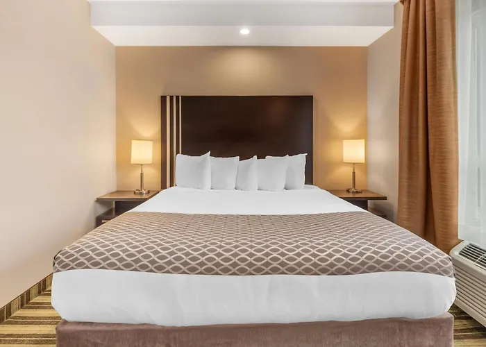 Best Western Plus Drayton Valley